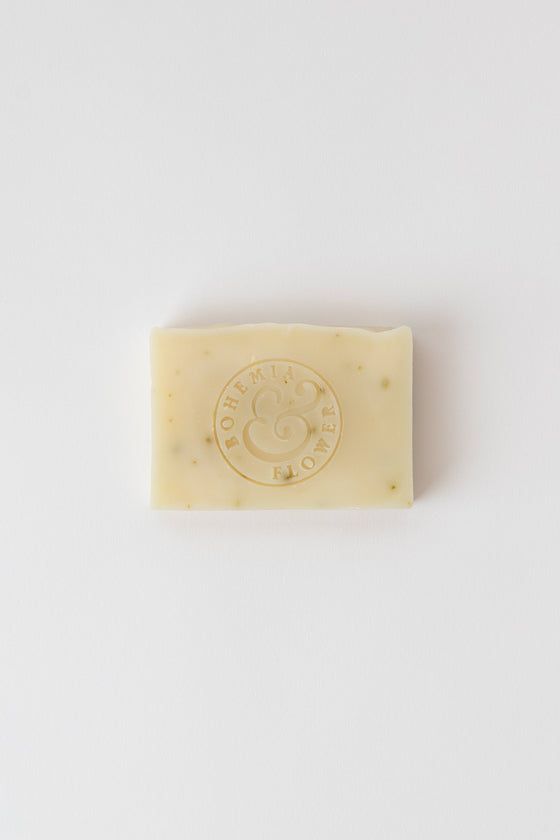 Coast Bar Soap - Organic Seaweed & Tea Tree